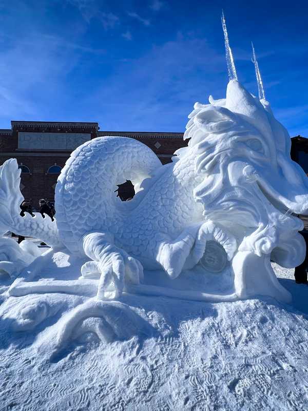 2023 Driggs Snowscapes